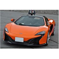 ASAMA2014D1 (22).JPG